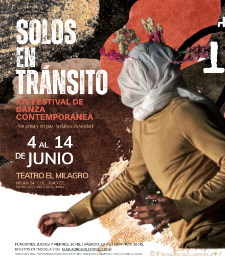 cartel-final-xix-solos-en-transito-med
